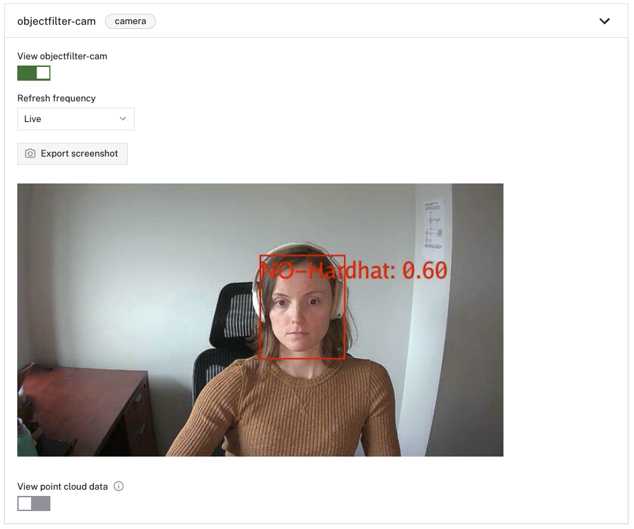 A person with no hard hat on, with a bounding box labeled No-Hardhat around her head.